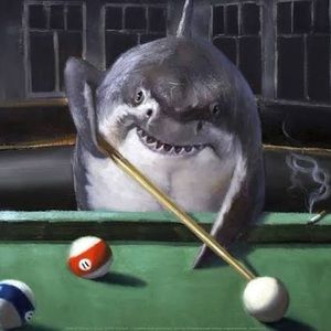 Meet your Posher, Ethan